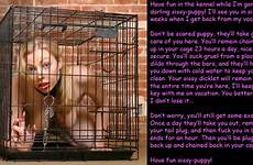 petgirl puppies caged petgirls cages
