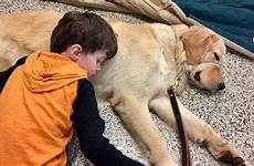 dog boy his service meets moment amazing when story tornado autism family usatoday