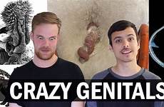 genitals nature found hermaphrodite weird facts genitalia craziest odd