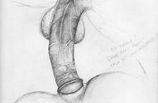 pencil drawing erotic xxx drawings sex sketch anal nice literotica intercourse so hot hardcore guy adult galleries