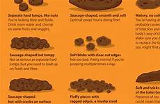 poop know infographic