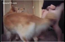 dog sex girl chubby webcam her group so videos beastiality bows episode over femefun