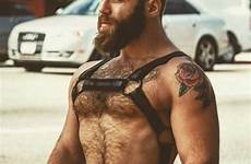 harness hunks brute beard woofy scruffy