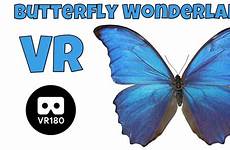 butterfly vr wonderland