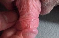 clit clits clitoris erect cumception xxgasm tumbex