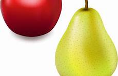 apple pear vector fresh red royalty vectorstock