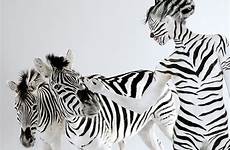 body paint animal nude zebra painting stripes animals models female poses model human painted newell lennette photography los arena zebras