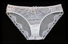 lace white panties lingerie etsy sheer bride mesh