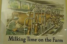 cow milking human machine his