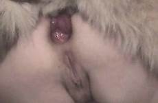 creampie anal bestiality zoo dogs different videos tube hardcore types action