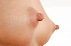 perky nipples