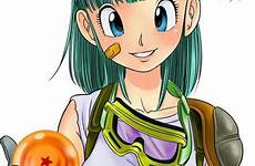 bulma briefs