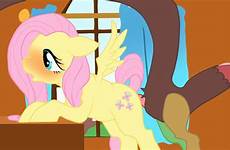 pony little gif classic discord fluttershy animated friendship rule
