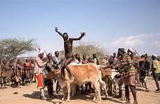 jumping hamar ethiopia hamer ethiopian ritual ceremony boys passage rite tribes waddington cattle separates