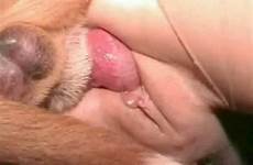 pussy vagina close penis entering womens squid dog fucking cum creampie girl nude hole lick guy pic