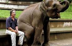 hewan acting manusia elephants humans ngakak brilio gitu kok gegen menschen bezahlen kampf akamaized
