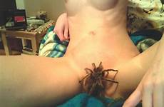 spider girl life spiders tits nsfw pussy still rule her horny their reddit