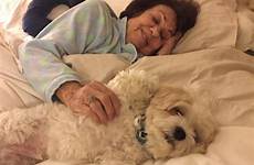 dog grandma loves visits when aww