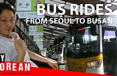 bus korean korea express rides