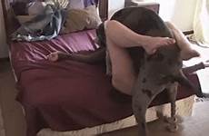 dog wife woman sex xxx fucking dane great videos pet caught fucks hidden camera fucked pussy animal big homemade amateur