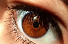 brown eyes big beautiful eye chocolate color choose board colour uploaded