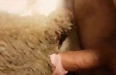 man animals fucks sheep zoo viewed most videos bed