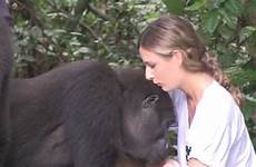 girl gorillas adult her reunited gorilla recognize wild little aspinall tansy foundation nov videos