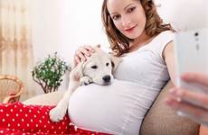 pregnant dog woman her preview