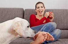 licking dog toes lick feet dogs stock woman depositphotos her just royalty pussy young barkpost dem nothing than mug haha