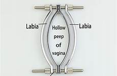 spreader adjustable labia clamp clamps clitoris