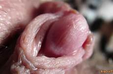 clitoris pulsing