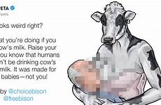 cow peta breastfeeding response