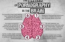 brain effects pornograhy infographic pornography its