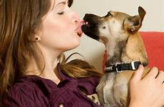 dog kissing kiss dogs girls bestiality pets sex their good health canada university kisses animal oral has legalizes