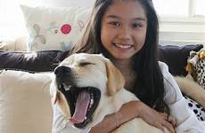 dog asian girl her yawn stress yawning treat train dreamstime alert stressed know if do preview