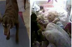 dog girl cam sleeping her nanny woman gets turns mysterious eerily sandie amber abc7 unknown saw courtesy left she