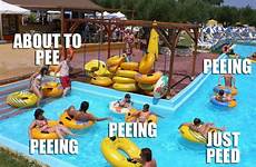 pool pee peeing pees water park pools do everyone urine ok not summer laughter worst come cow