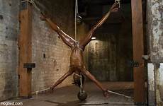 ana foxxx tied hogtied ebony hog bondage upside down bdsm spread hanging suspension hung eagle inverted her hard xxx strict