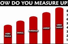 penis size average chart length inches big penile increase penises matter girth erect measure charts lengths graph does years where
