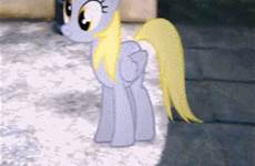 derpy hooves