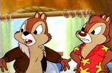 chip dale rescue rangers cartoons fanpop squirrel disney cartoon gargoyles 1989 indiana jones macbeth movie animated magnum pi series picture