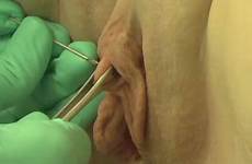 piercing triangle elayne angel clitoris piercings body videos video
