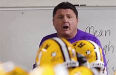 lsu tigers tigerdroppings giphy rant orgeron