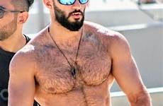 hairy male hunks chest men muscle bearded guy handsome chested