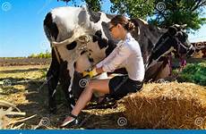 milking cow woman farm photography stock young
