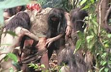 gif cannibal holocaust 1980 cock tumblr penis gore castration animated nsfw deodato ruggero