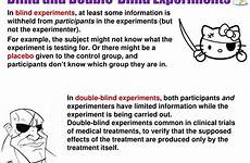 experiment investigate conduct situation