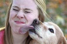 dog face licking licks woman happens when tiphero licked seeker
