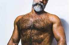 men hairy handsome scruffy man bearded beard beards rugged bear muscle moustache sexy chest grey male choose board hunks uploaded