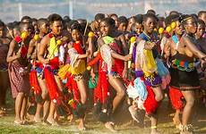 dance reed swaziland swazi umhlanga africa ceremony women maidens mswati virginity king zulu african tribal iii celebrate festivals queen celebration